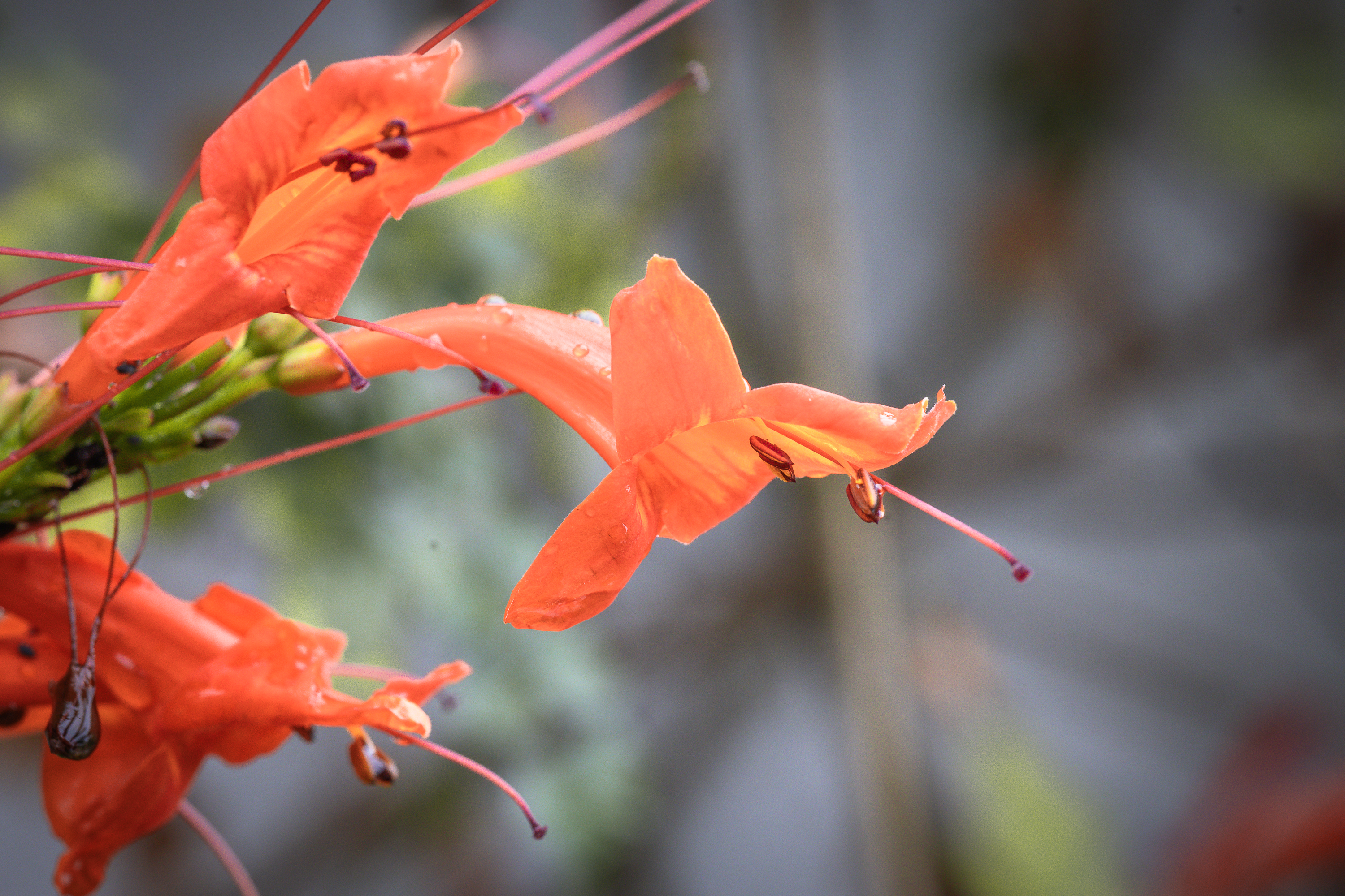 Otoño · Foto 25