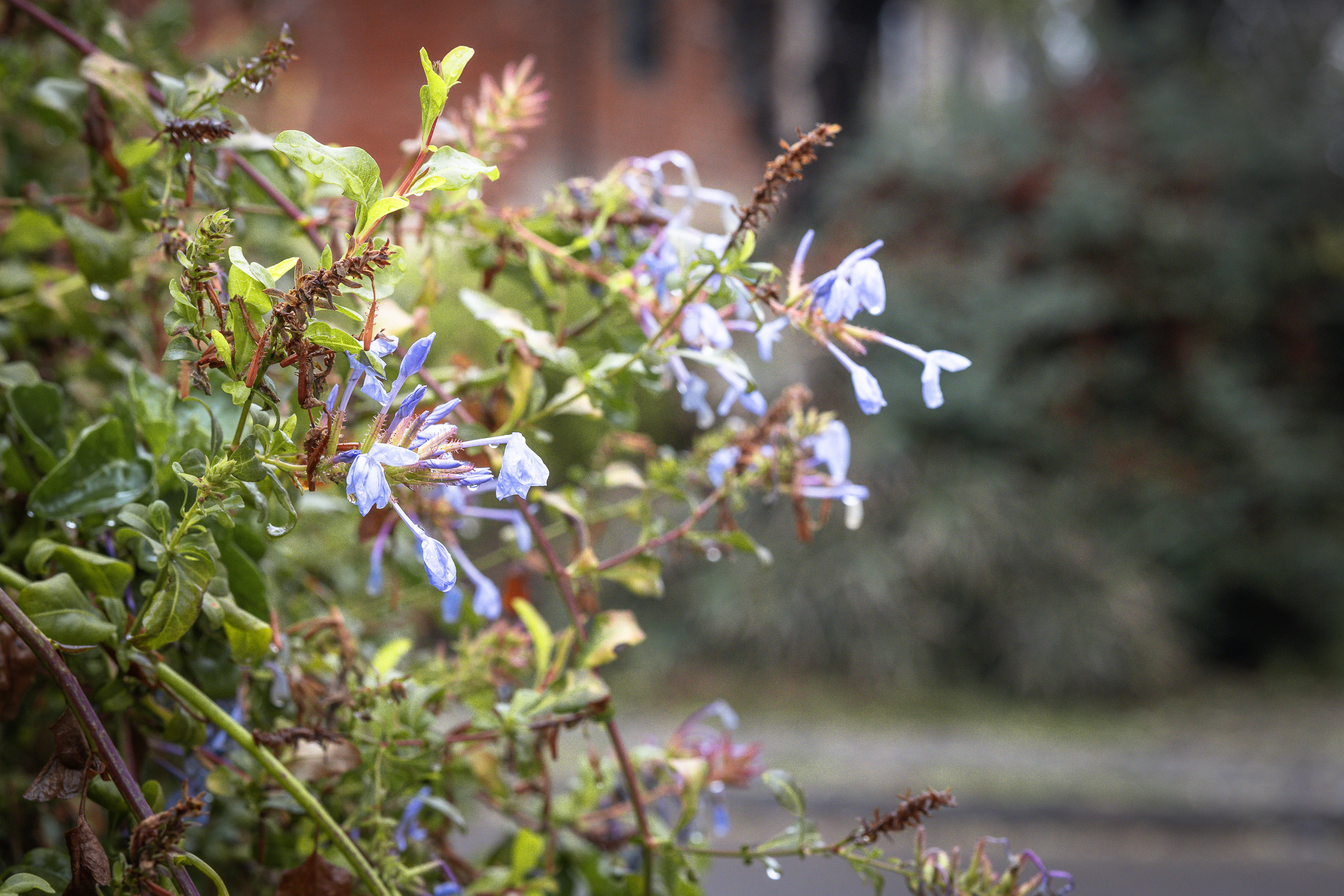 Otoño · Foto 27