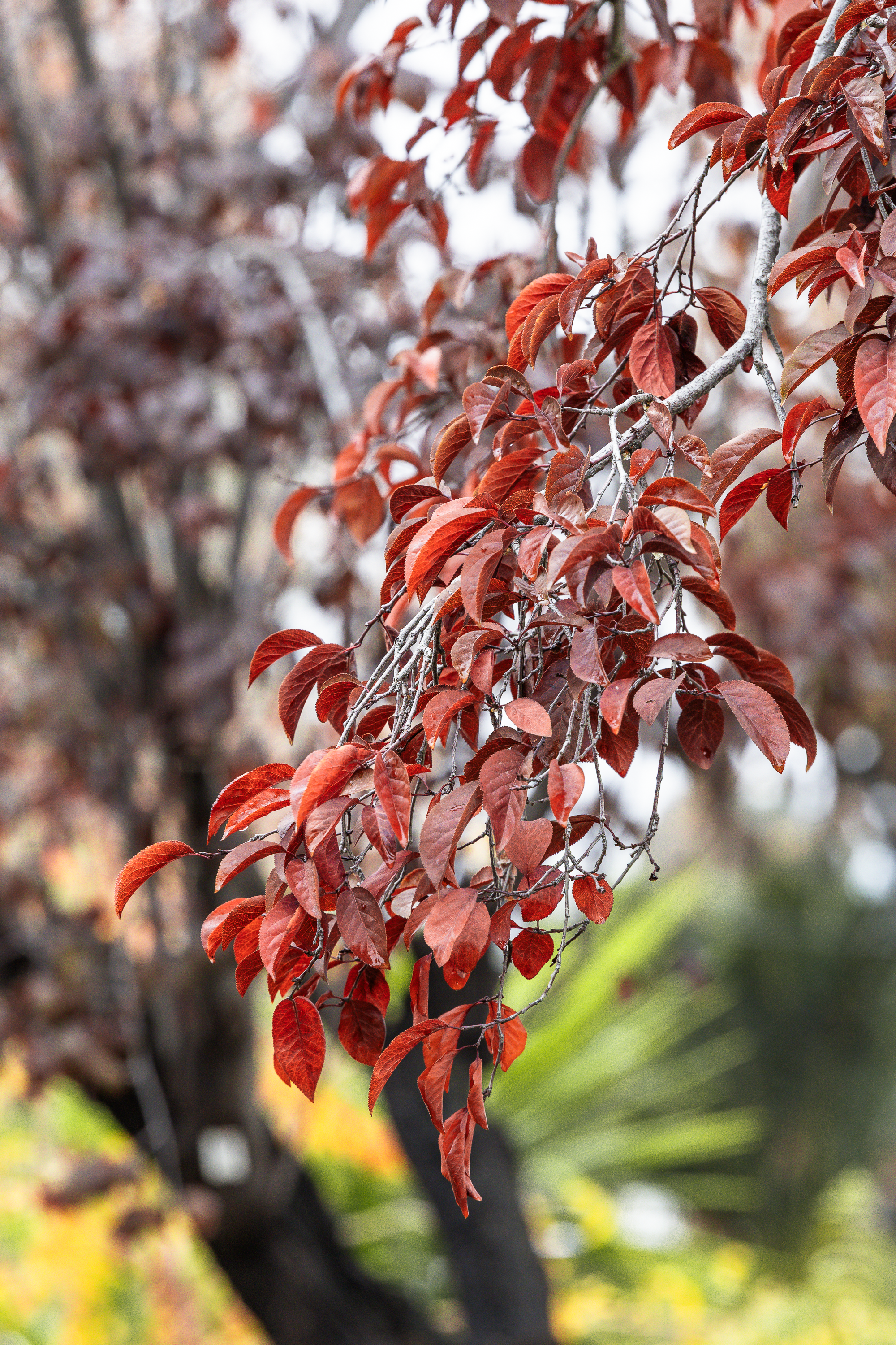 Otoño · Foto 36
