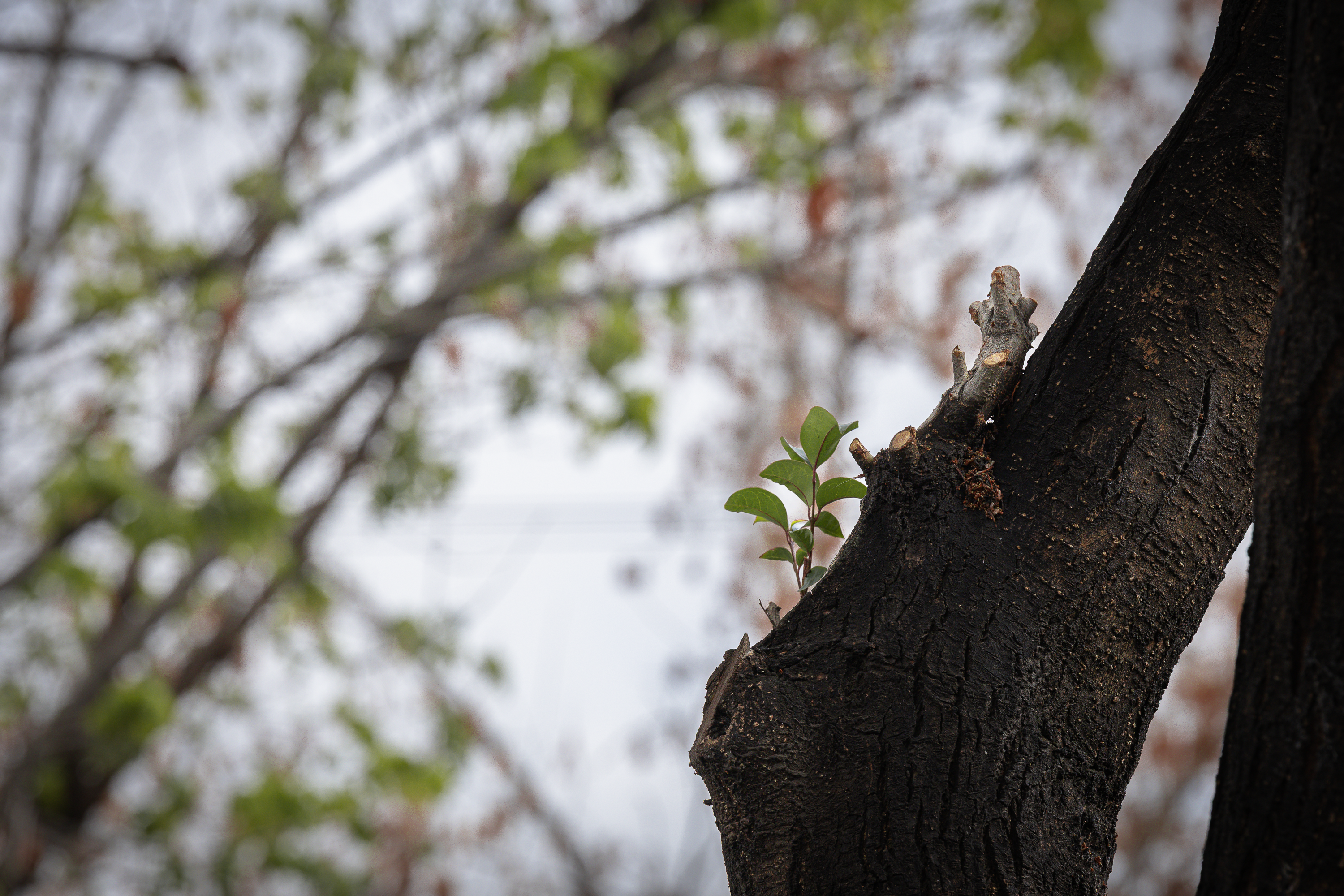 Otoño · Foto 40