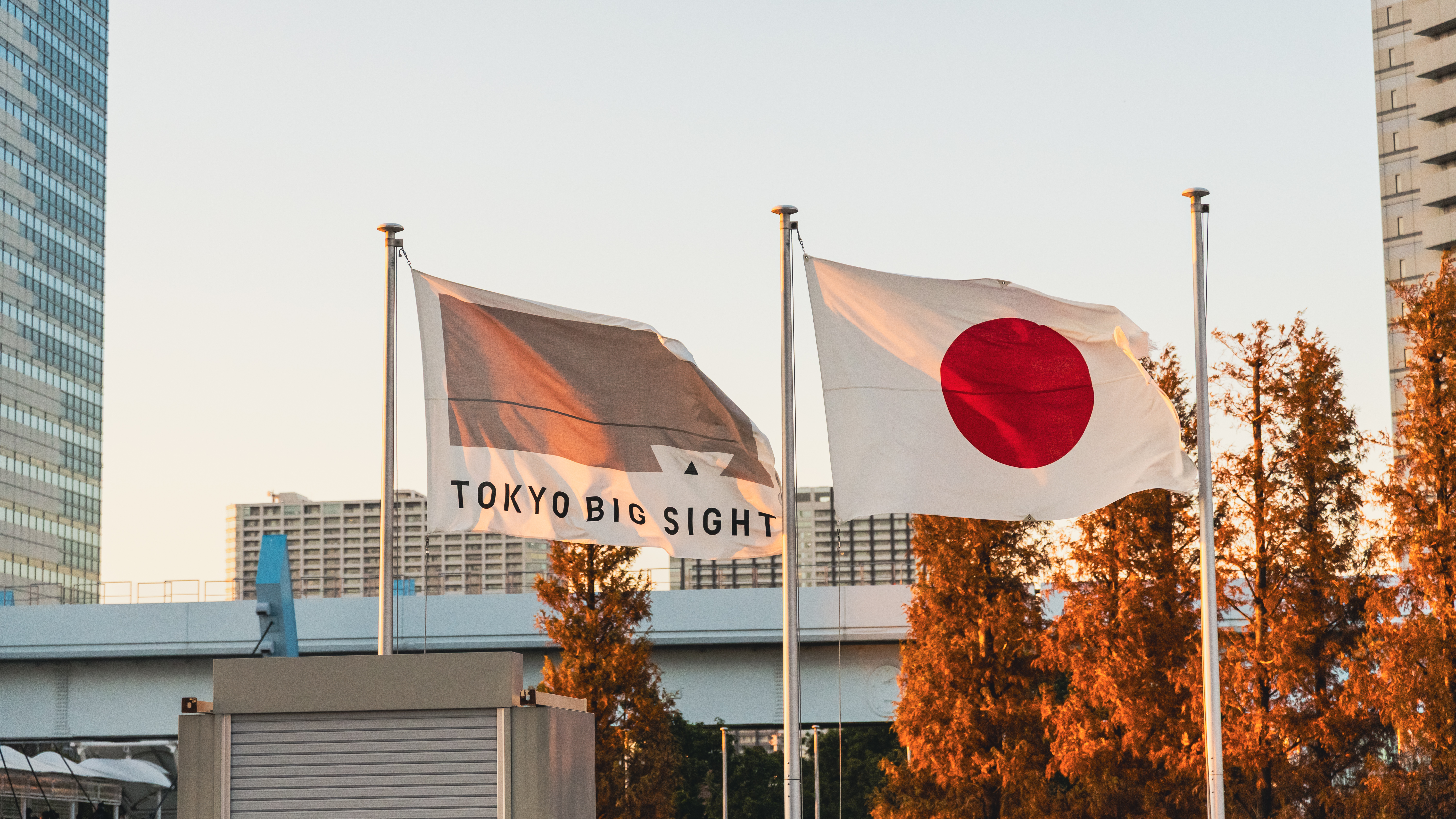 Tokio · Foto 14